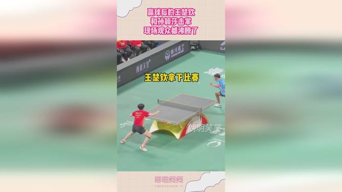 ayx爱游戏在线入口-关于科维托娃重返赛场，夺冠首场状态出色，TES观众沸腾！赢得满堂喝彩的信息